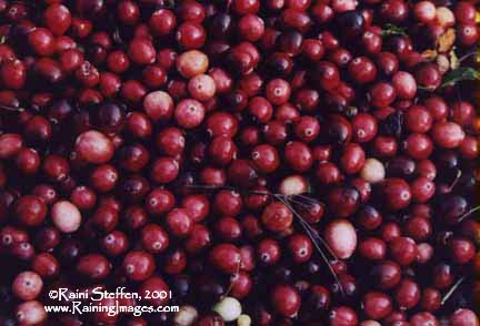 Cranberries
